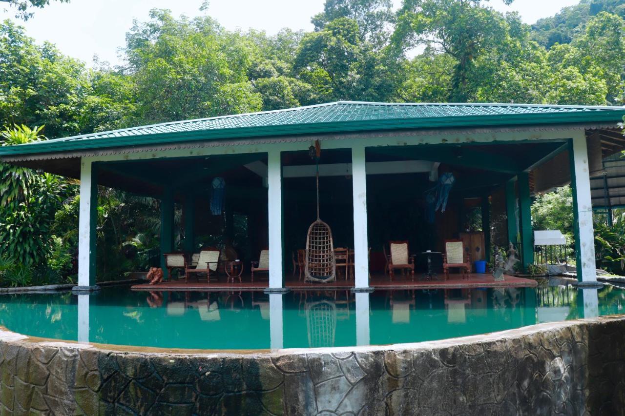 Paradise Eco Garden Kitulgala Ngoại thất bức ảnh